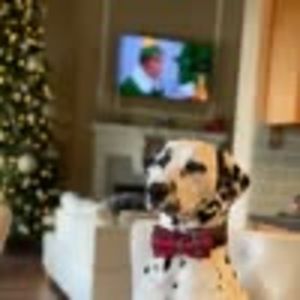 Meet your Posher, Spot